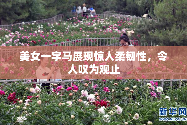 美女一字马展现惊人柔韧性，令人叹为观止