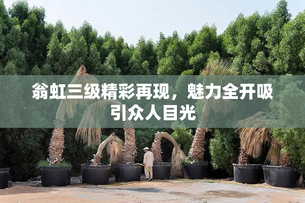 翁虹三级精彩再现，魅力全开吸引众人目光