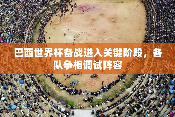 巴西世界杯备战进入关键阶段，各队争相调试阵容