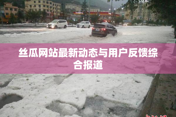 丝瓜网站最新动态与用户反馈综合报道