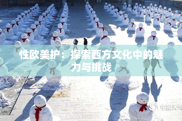 性欧美护：探索西方文化中的魅力与挑战