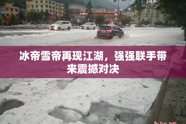 冰帝雪帝再现江湖，强强联手带来震撼对决