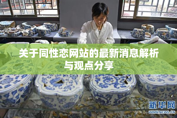关于同性恋网站的最新消息解析与观点分享
