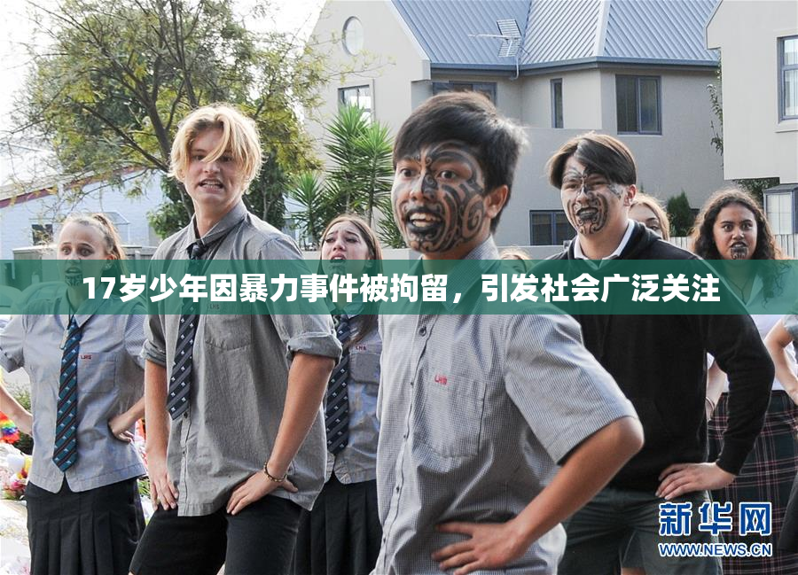 17岁少年因暴力事件被拘留，引发社会广泛关注