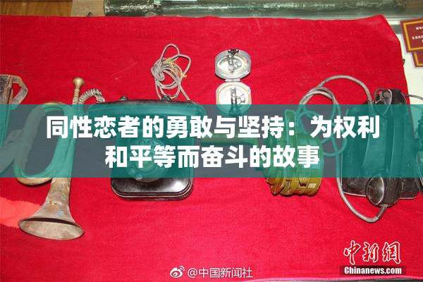 同性恋者的勇敢与坚持：为权利和平等而奋斗的故事