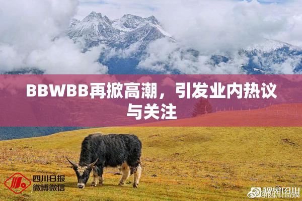 BBWBB再掀高潮，引发业内热议与关注