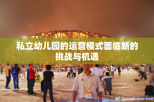 私立幼儿园的运营模式面临新的挑战与机遇