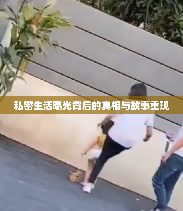 私密生活曝光背后的真相与故事重现