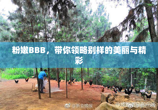 粉嫩BBB，带你领略别样的美丽与精彩