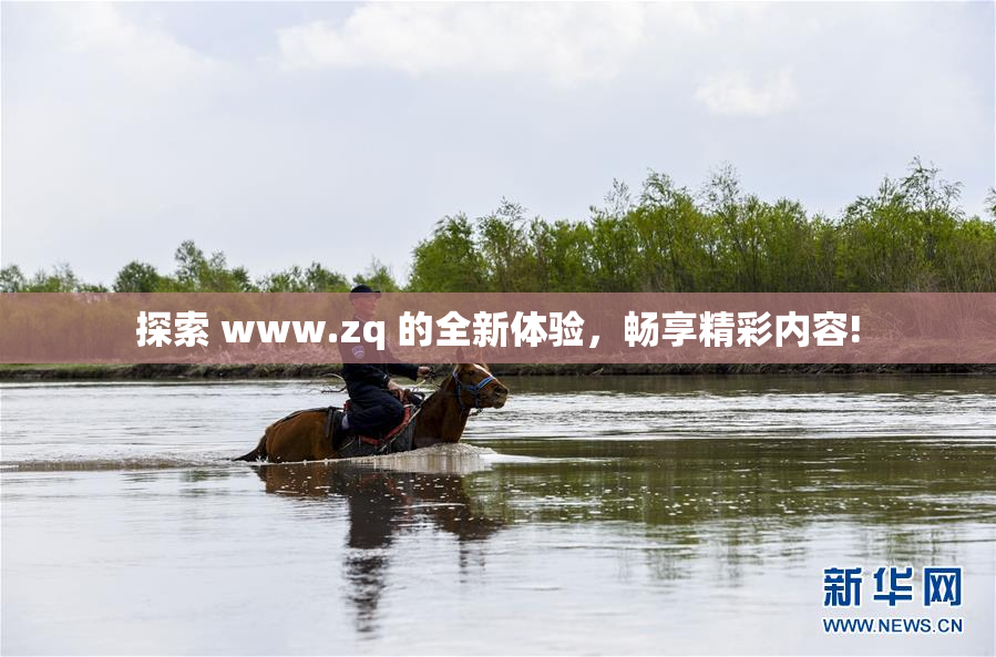 探索 www.zq 的全新体验，畅享精彩内容!