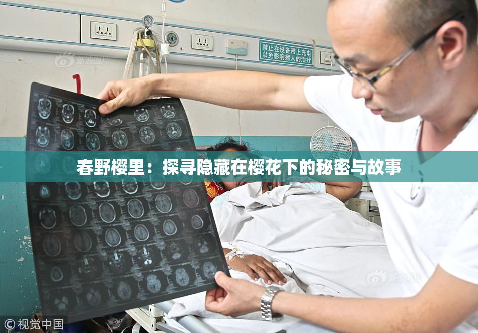春野樱里：探寻隐藏在樱花下的秘密与故事