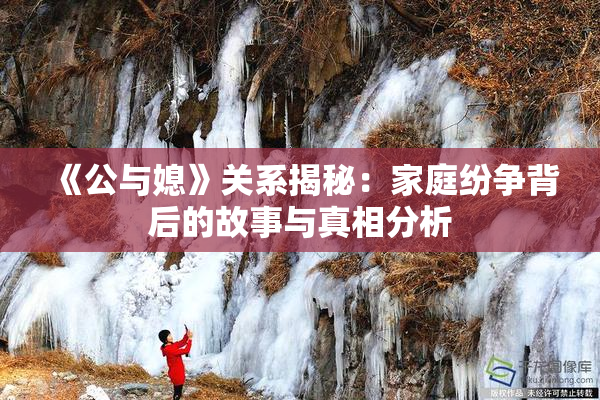 《公与媳》关系揭秘：家庭纷争背后的故事与真相分析