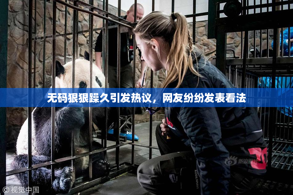 无码狠狠躁久引发热议，网友纷纷发表看法