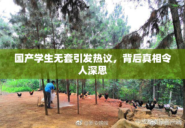 国产学生无套引发热议，背后真相令人深思