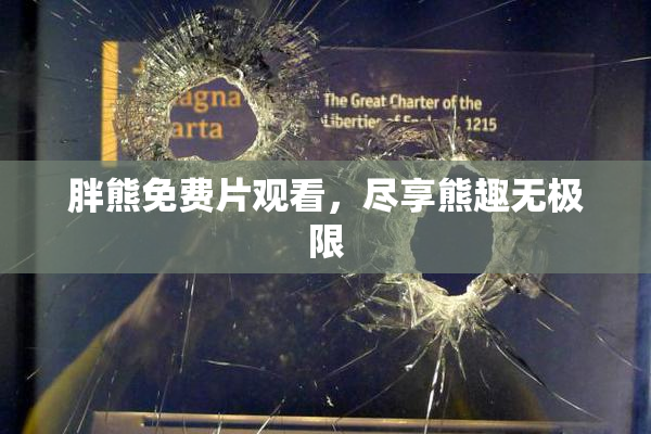 胖熊免费片观看，尽享熊趣无极限