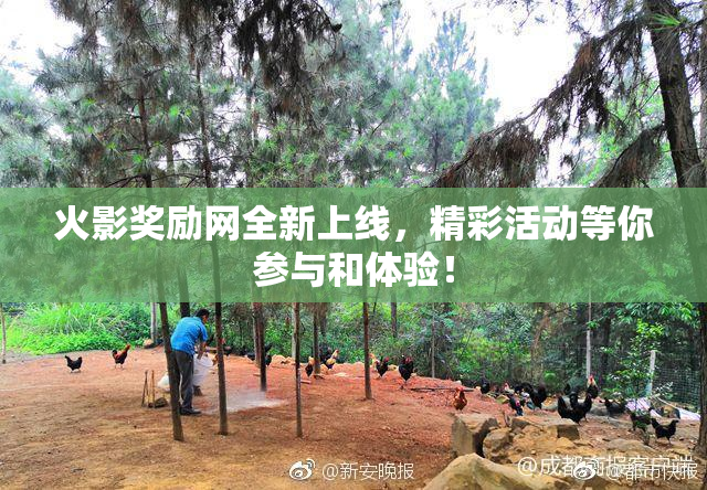 火影奖励网全新上线，精彩活动等你参与和体验！