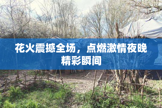 花火震撼全场，点燃激情夜晚精彩瞬间
