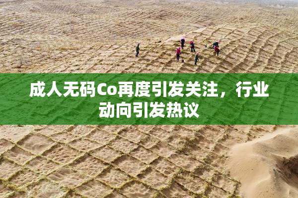 成人无码Co再度引发关注，行业动向引发热议