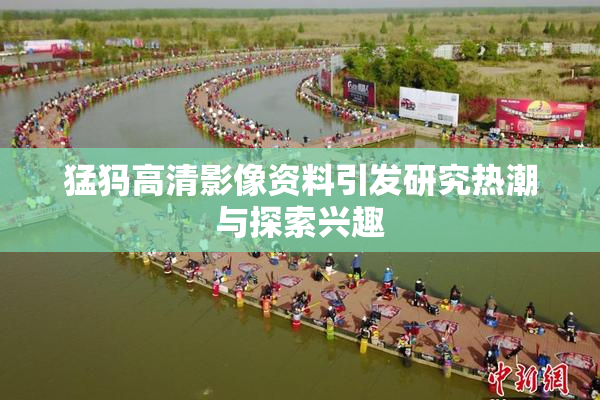 猛犸高清影像资料引发研究热潮与探索兴趣