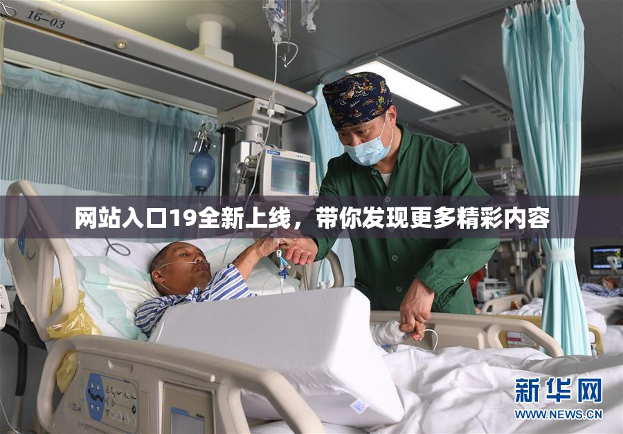 网站入口19全新上线，带你发现更多精彩内容