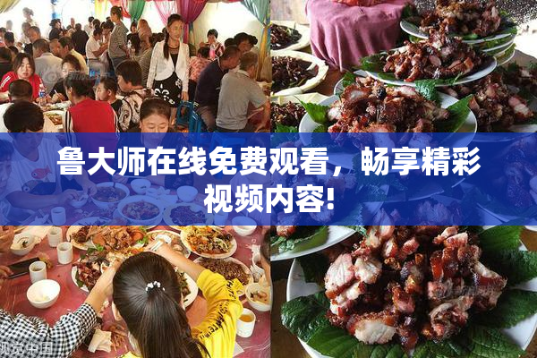 鲁大师在线免费观看，畅享精彩视频内容!