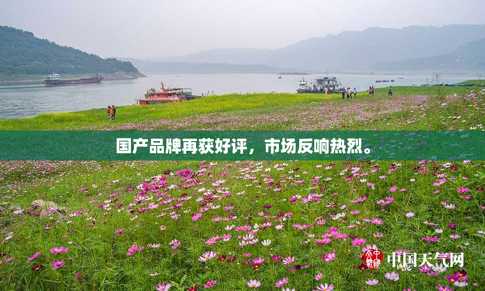 国产品牌再获好评，市场反响热烈。