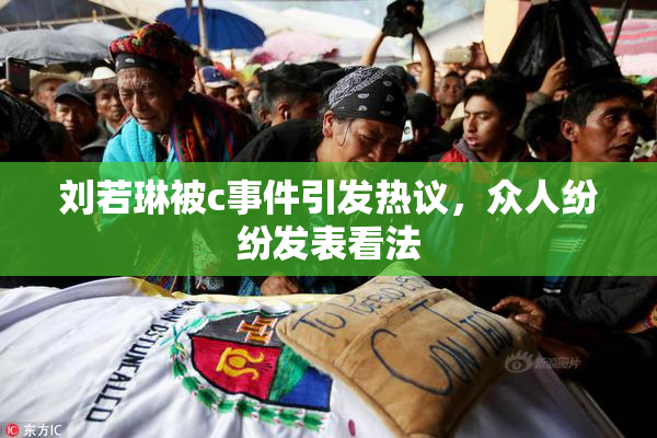 刘若琳被c事件引发热议，众人纷纷发表看法