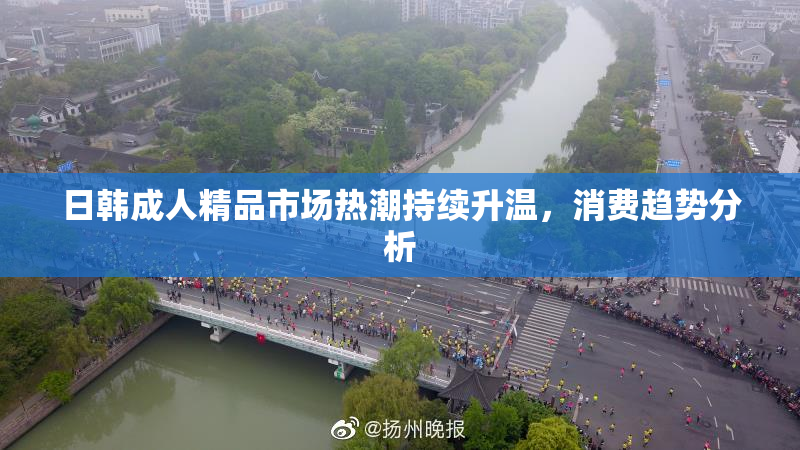 日韩成人精品市场热潮持续升温，消费趋势分析