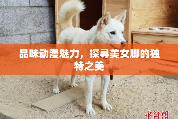 品味动漫魅力，探寻美女脚的独特之美