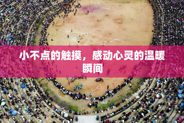 小不点的触摸，感动心灵的温暖瞬间