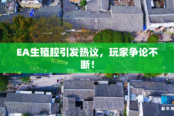 EA生殖腔引发热议，玩家争论不断！