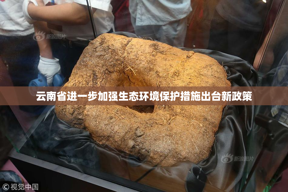 云南省进一步加强生态环境保护措施出台新政策