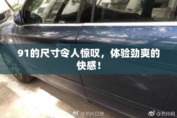 91的尺寸令人惊叹，体验劲爽的快感！