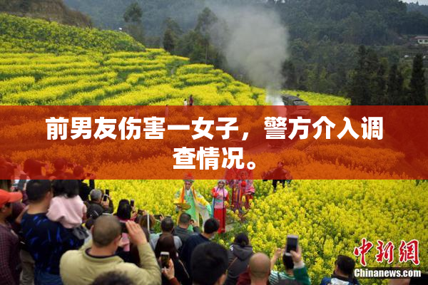 前男友伤害一女子，警方介入调查情况。