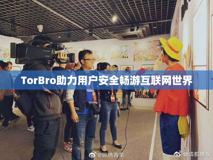 TorBro助力用户安全畅游互联网世界