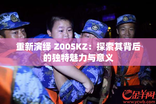 重新演绎 Z00SKZ：探索其背后的独特魅力与意义
