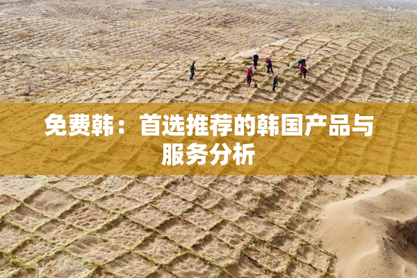 免费韩：首选推荐的韩国产品与服务分析