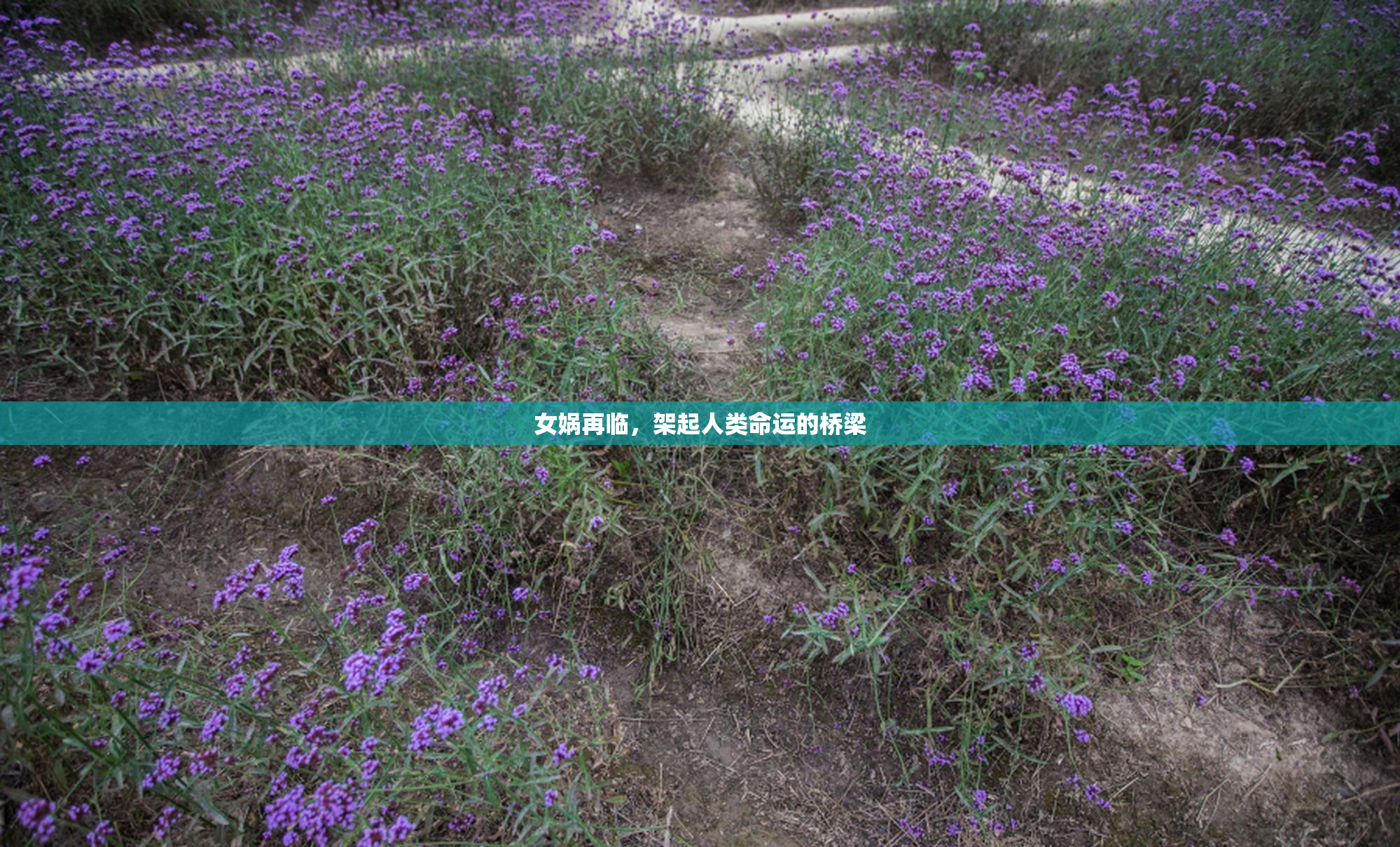 女娲再临，架起人类命运的桥梁