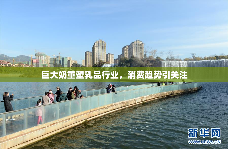 巨大奶重塑乳品行业，消费趋势引关注