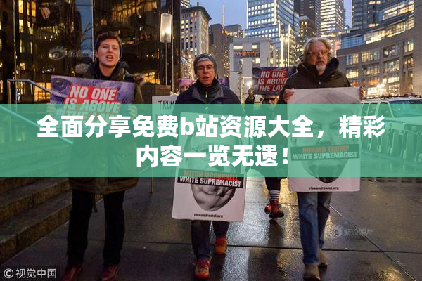 全面分享免费b站资源大全，精彩内容一览无遗！