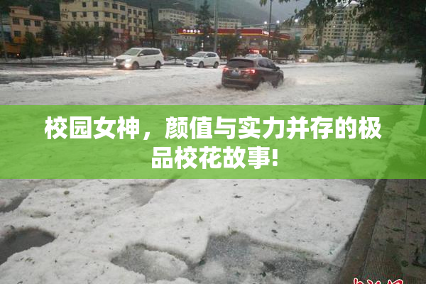 校园女神，颜值与实力并存的极品校花故事!