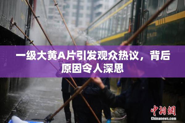 一级大黄A片引发观众热议，背后原因令人深思