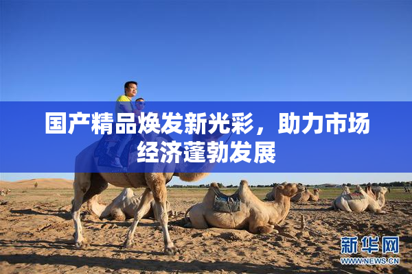 国产精品焕发新光彩，助力市场经济蓬勃发展