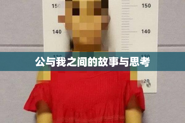 公与我之间的故事与思考