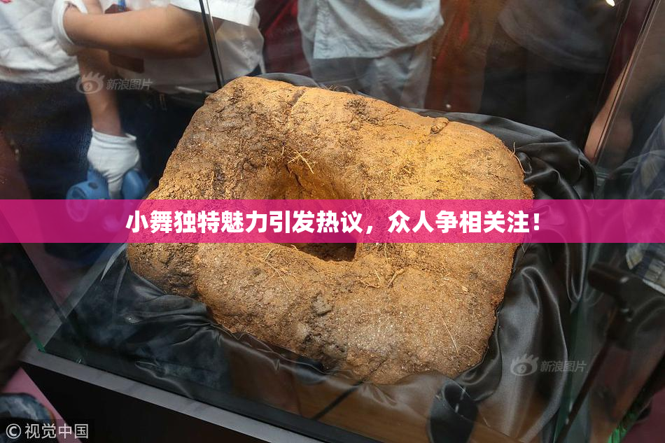 小舞独特魅力引发热议，众人争相关注！