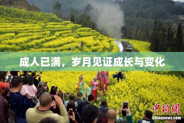 成人已满，岁月见证成长与变化