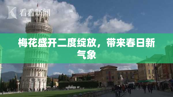 梅花盛开二度绽放，带来春日新气象