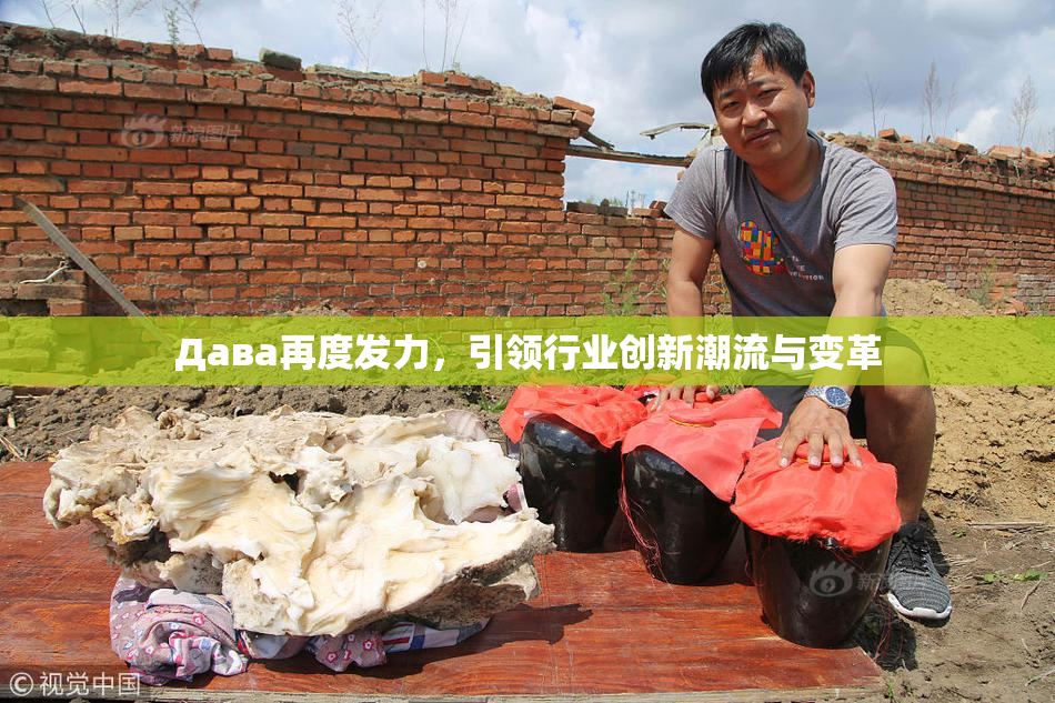 Дава再度发力，引领行业创新潮流与变革