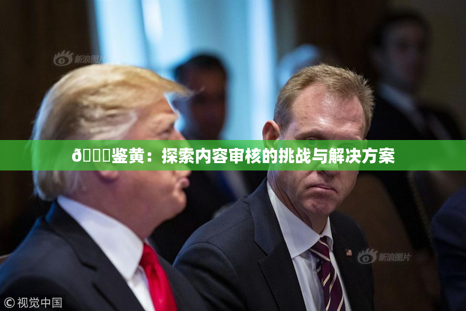 🔞鉴黄：探索内容审核的挑战与解决方案