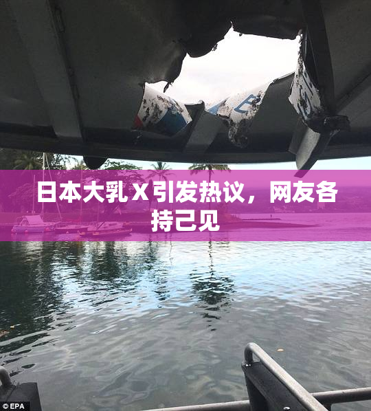 日本大乳Ⅹ引发热议，网友各持己见